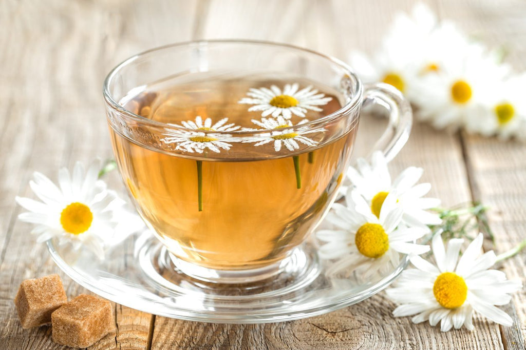 Chamomile Tea Health Benefits